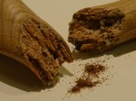 Wood eaten away by insects can ruin antiques, weakening legs and supports until they break completely through.