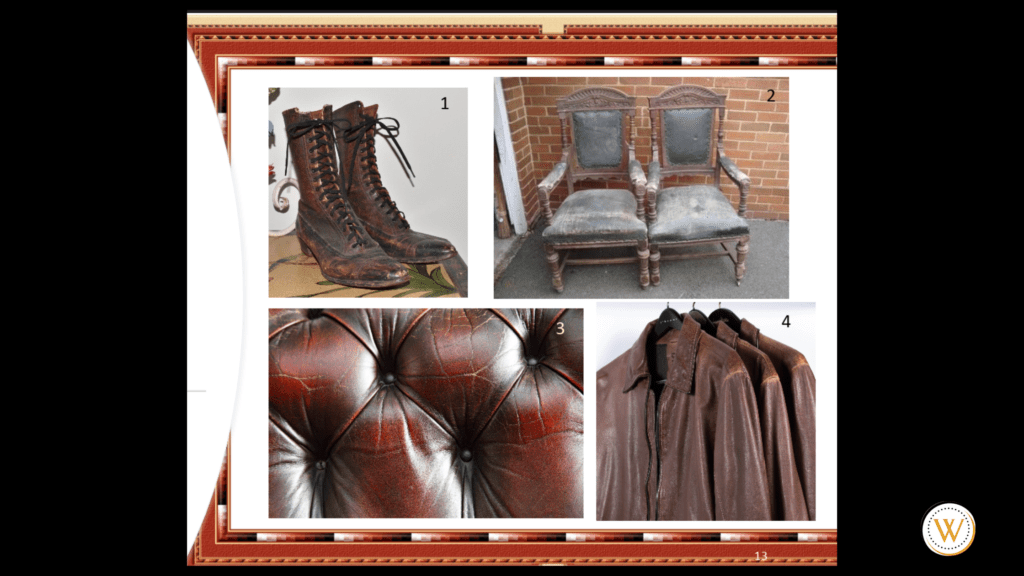 Leather care (15)