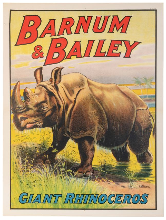 189 Burnham Bailey Rinoceronte Póster