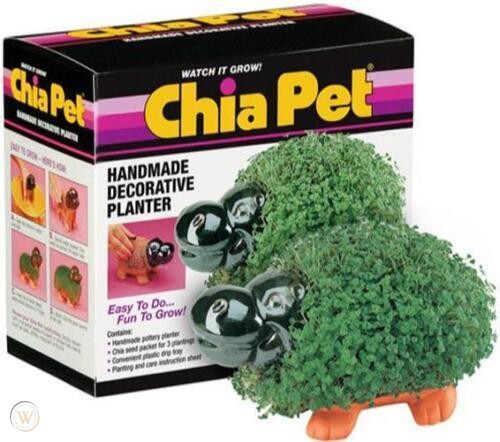 Hippo chia pet planter alarm clock